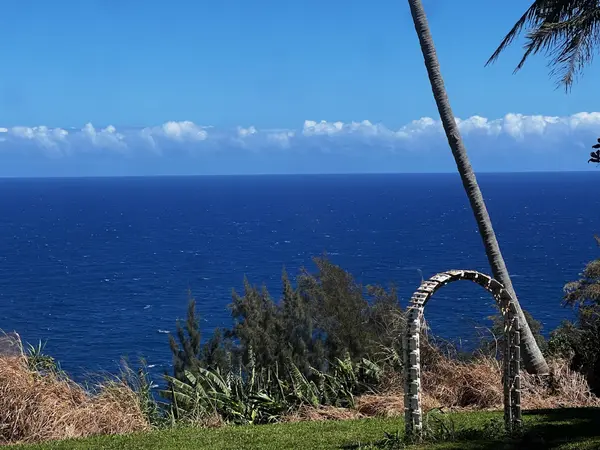 39-3296 OLD MAMALAHOA HWY, Ookala, HI 96774