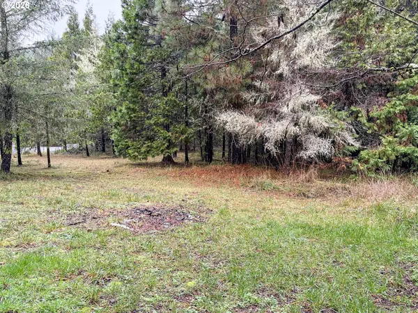 225 DORALEEN LN, Glide, OR 97443