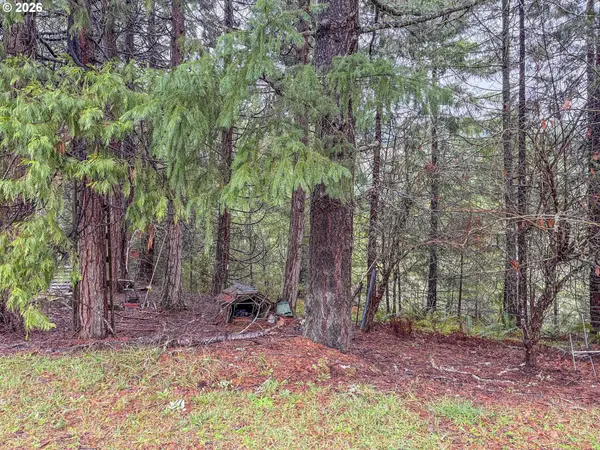 225 DORALEEN LN, Glide, OR 97443