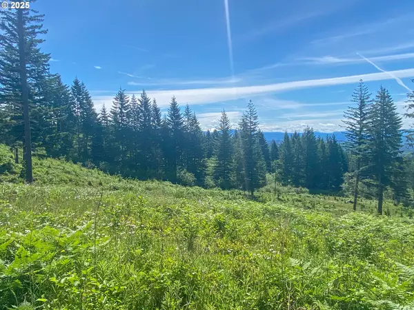 Camas, WA 98607,NE Hancock RD #1