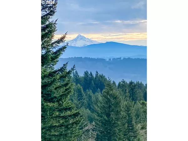 Camas, WA 98607,NE Hancock RD #1