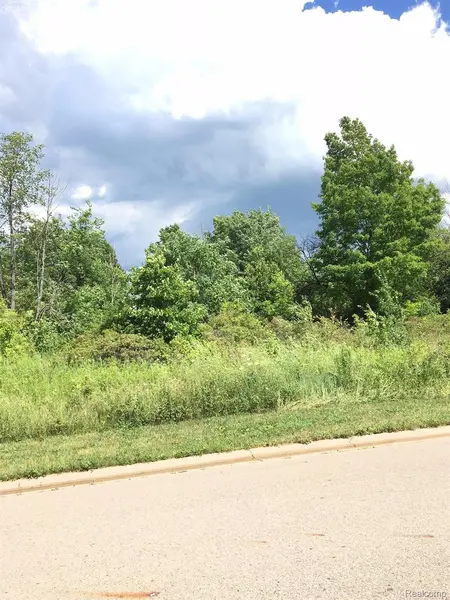 0000 Beecher RD, Flint Charter Township, MI 48532