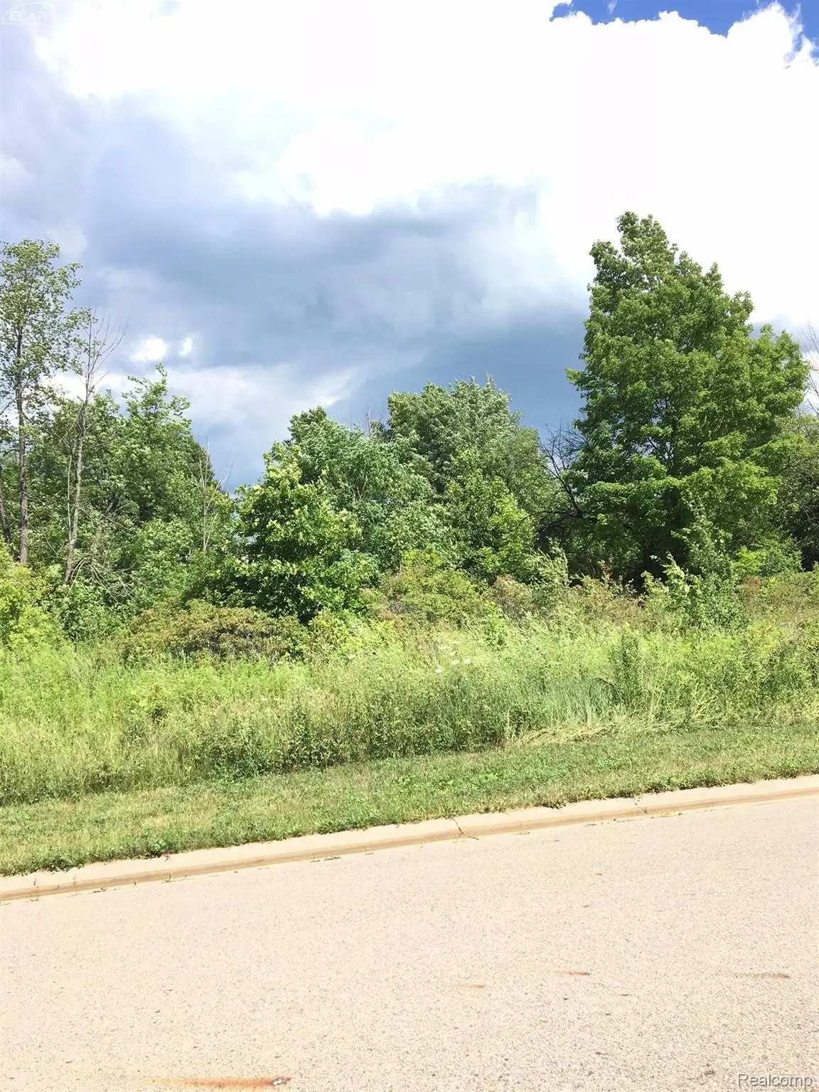 0000 Beecher RD, Flint Charter Township, MI 48532