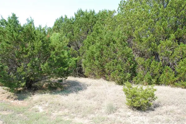12101 Oak Dale Drive, Whitney, TX 76692