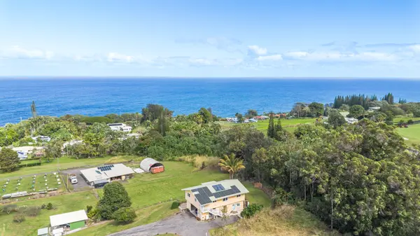 35-163 HOKUMAHOE RD, Laupahoehoe, HI 96764