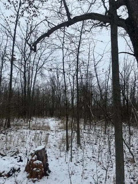 0 Williams RD, Argentine Township, MI 48436