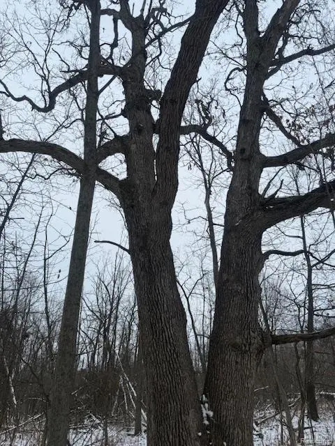 0 Williams RD, Argentine Township, MI 48436