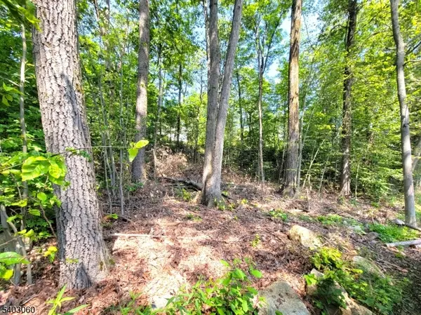 0 Kresson Rd, West Milford Twp., NJ 07421