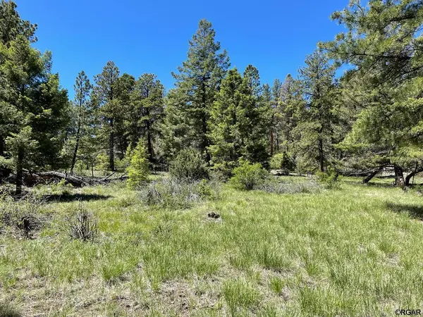 383 Hackberry LN, Canon City, CO 81212