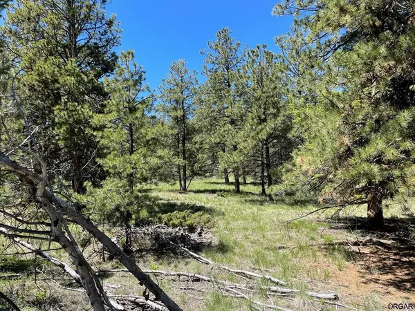 383 Hackberry LN, Canon City, CO 81212