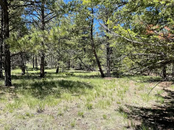 383 Hackberry LN, Canon City, CO 81212