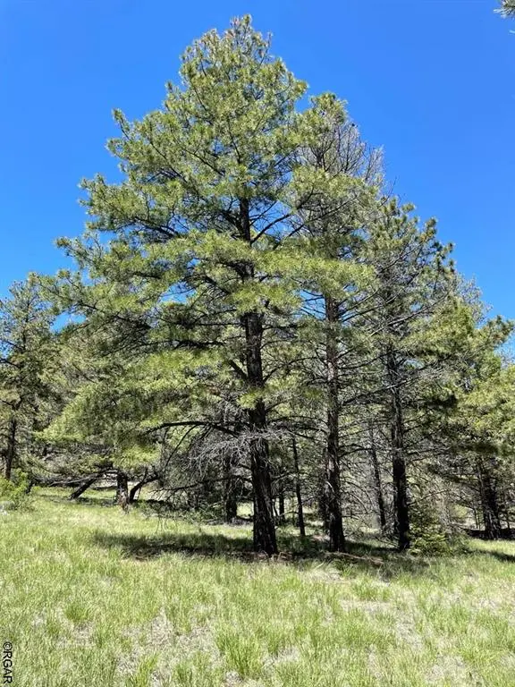 383 Hackberry LN, Canon City, CO 81212