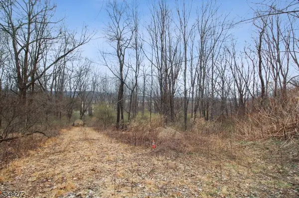 159 Alphano Rd, Independence Twp., NJ 07838