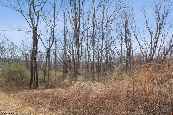 159 Alphano Rd, Independence Twp., NJ 07838