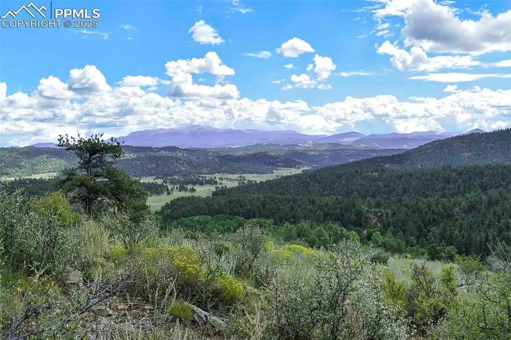 231 Deer LN, Guffey, CO 80820