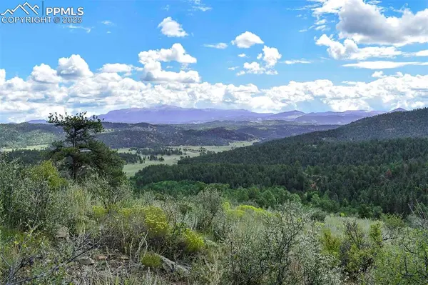 231 Deer LN, Guffey, CO 80820