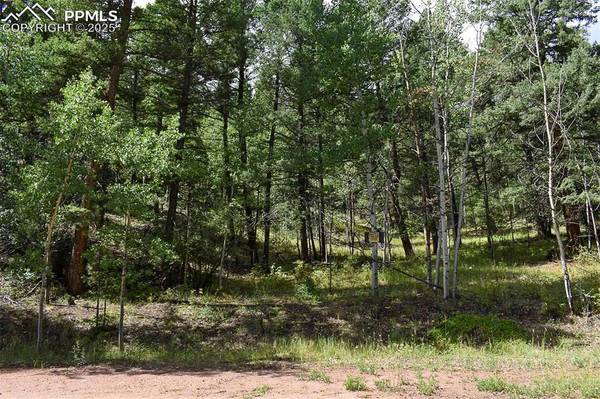 231 Deer LN, Guffey, CO 80820