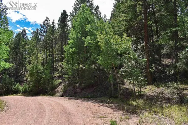 231 Deer LN, Guffey, CO 80820