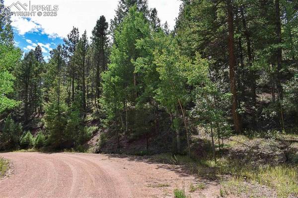 231 Deer LN, Guffey, CO 80820