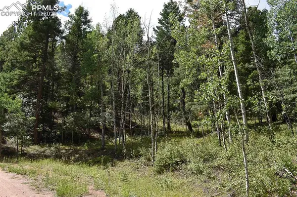 231 Deer LN, Guffey, CO 80820
