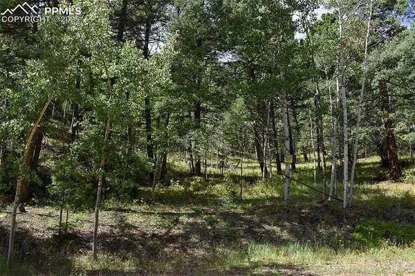 231 Deer LN, Guffey, CO 80820