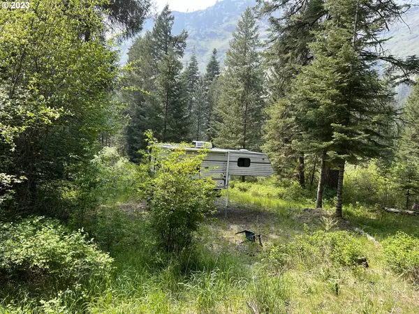 Imnaha, OR 97842,59866 RIVER CANYON RD