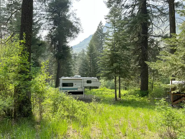 Imnaha, OR 97842,59866 RIVER CANYON RD