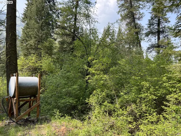 59866 RIVER CANYON RD, Imnaha, OR 97842