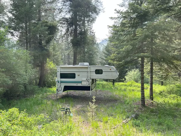 59866 RIVER CANYON RD, Imnaha, OR 97842