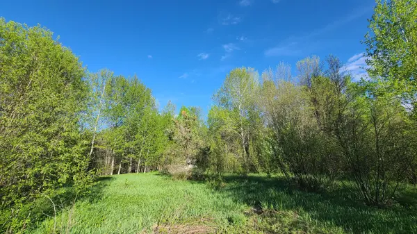 1400 Eagle Lake RD W, Dysart Et Al, ON K0M 2S0