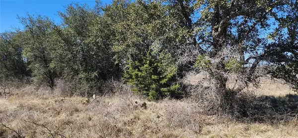 100 ELZY LAY Court, Eastland, TX 76448