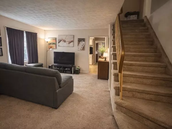 Cornwall, ON K6H 4T9,204-206 Guy ST