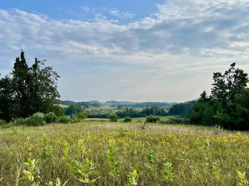 00 Skinner RD, Banks Twp, MI 49729