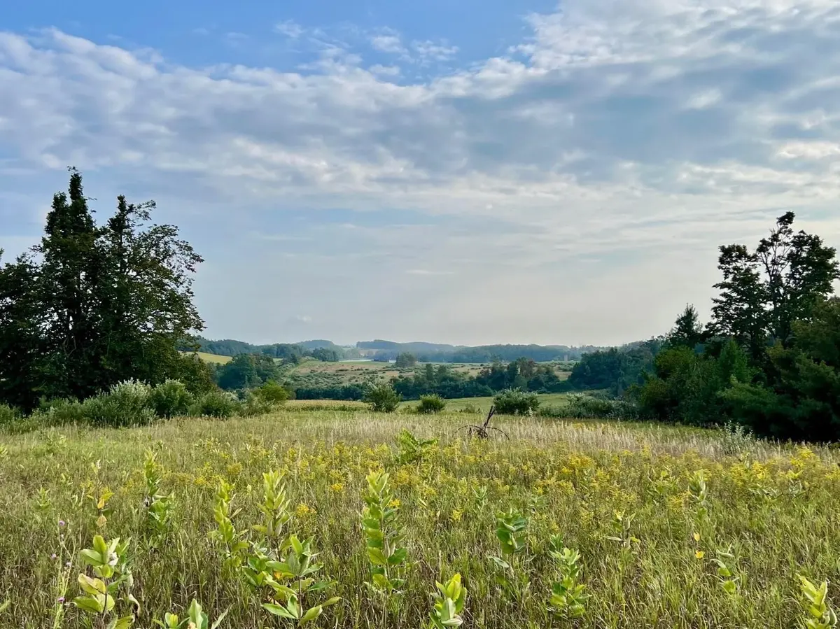 00 Skinner RD, Banks Twp, MI 49729