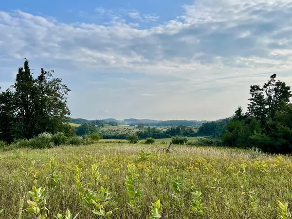 00 Skinner RD, Banks Twp, MI 49729