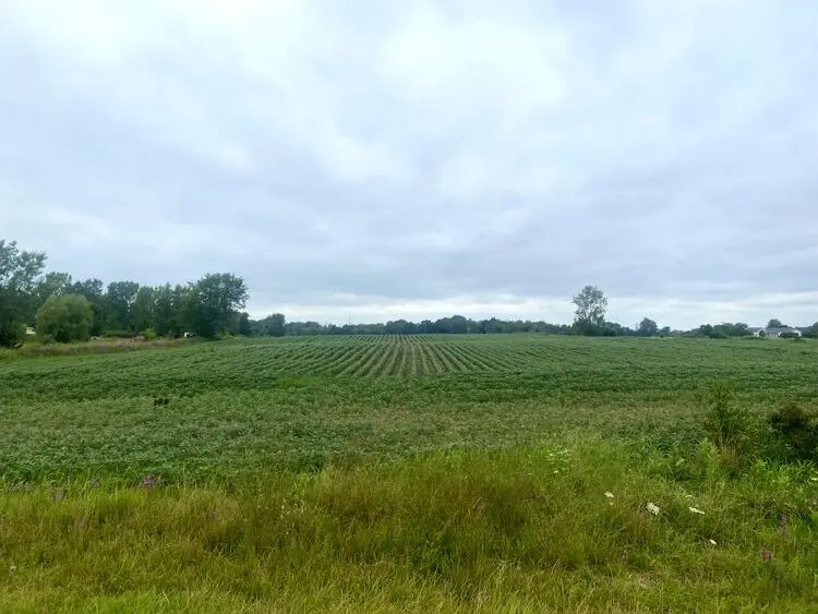 0 Byron RD, Jamestown Twp, MI 49426