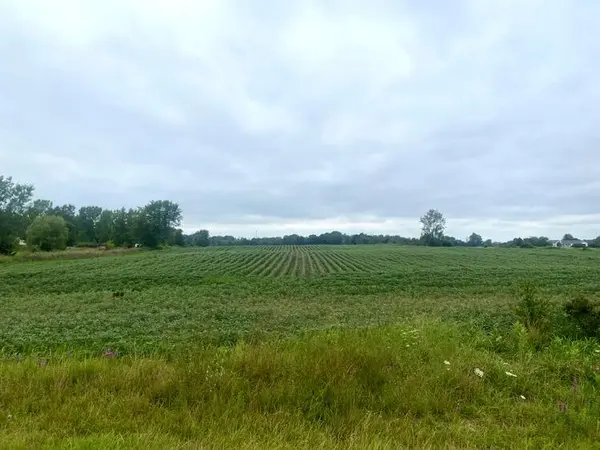 0 Byron RD, Jamestown Twp, MI 49426