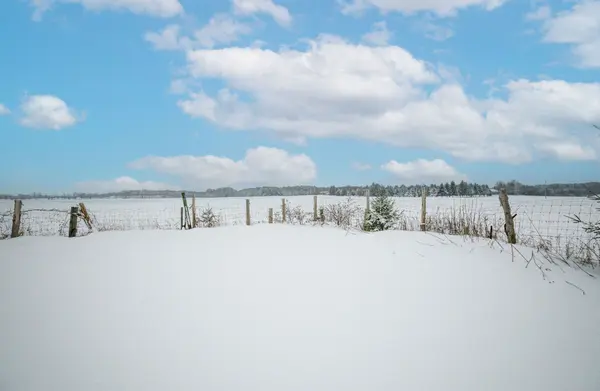 9429 Sally ST, Wellington North, ON N0G 2L0