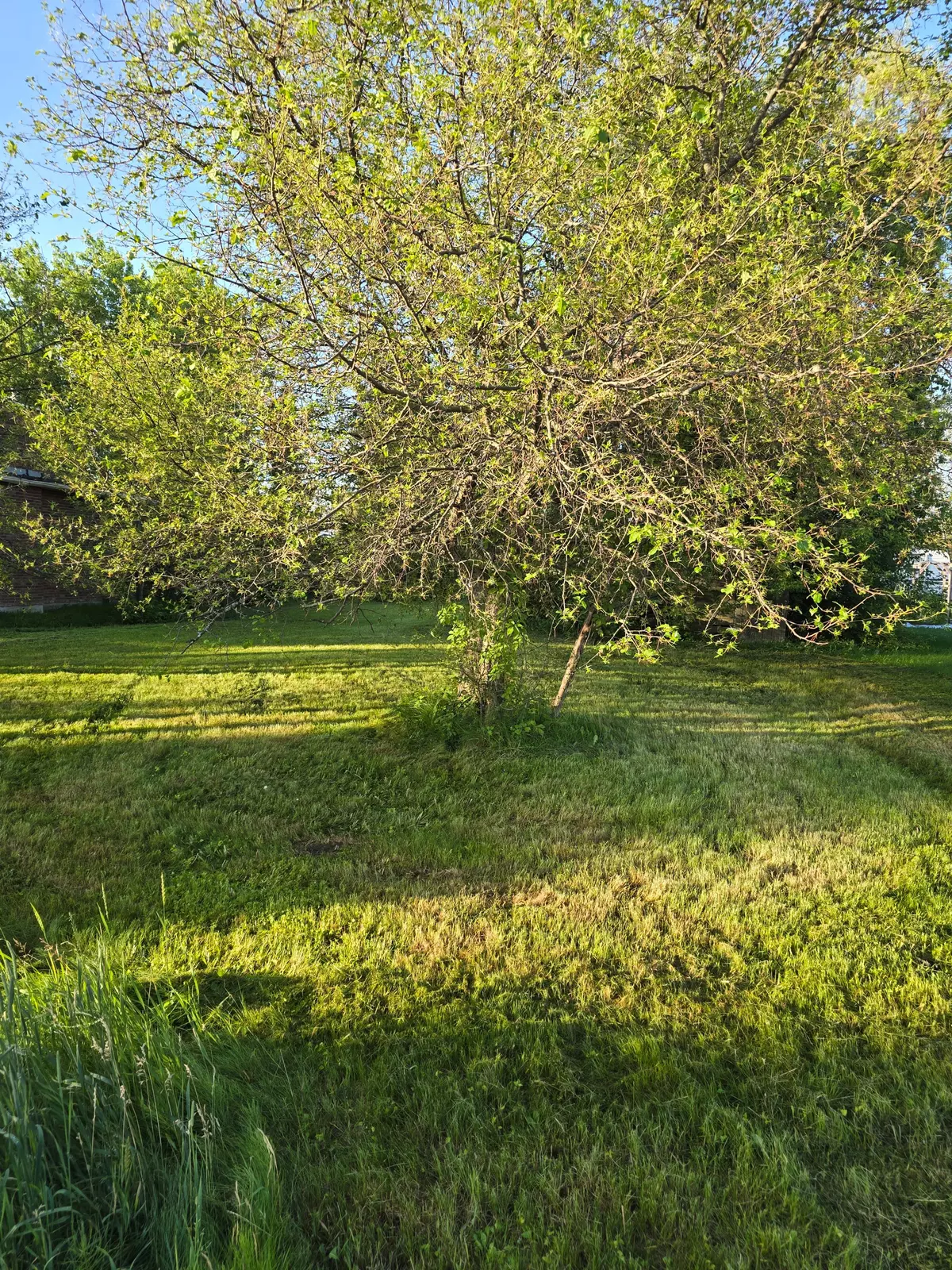 Englehart, ON P0J 1H0,66 Seventh AVE