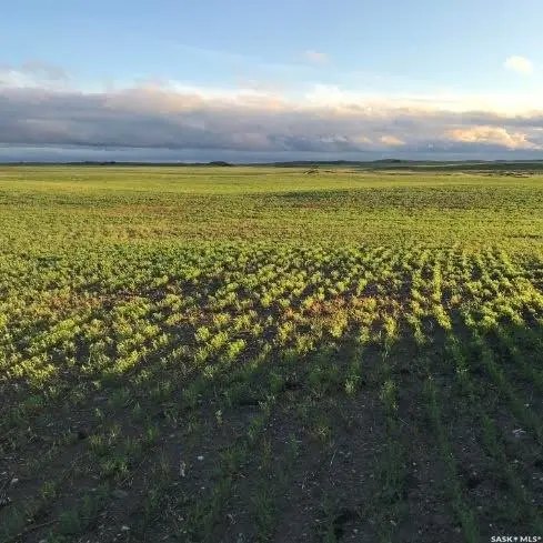 Rural Address, Craik Rm No. 222, SK S0G 0R0