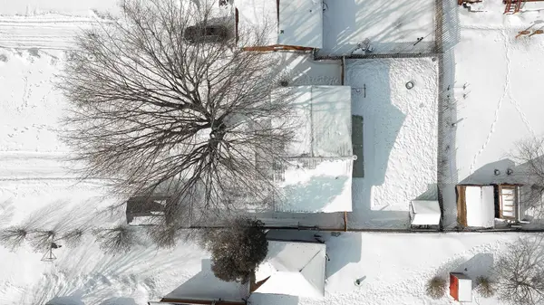 53 Wellington ST, Bayham, ON N0J 1T0