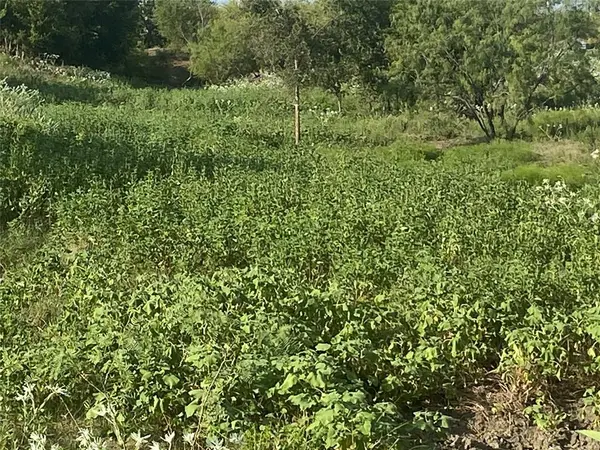 TBD County Road 3254, Mount Calm, TX 76673