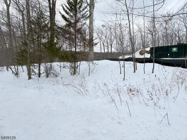 1 Bristol Ridge Rd, Boonton Twp., NJ 07005