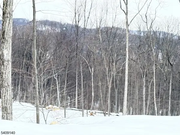 8 Bristol Ridge Rd, Boonton Twp., NJ 07005