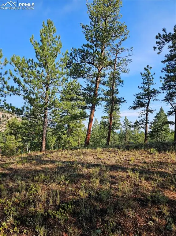 1117 Appleby DR, Sedalia, CO 80135