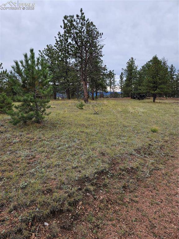 208 Eaglecrest DR, Florissant, CO 80816