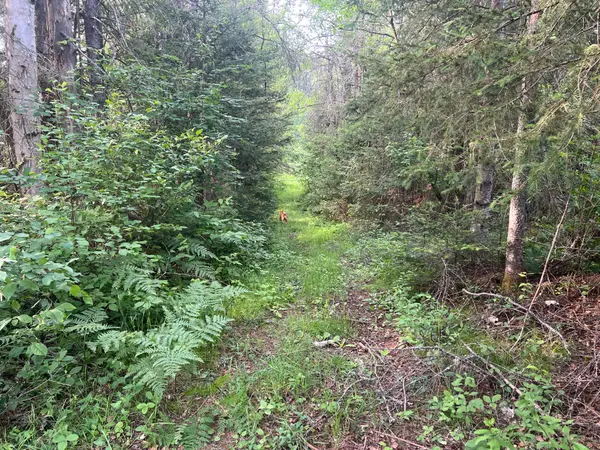 1152 FOREST LAKE RD, Joly, ON P0A 1Z0