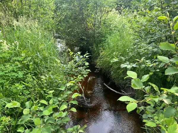 1152 FOREST LAKE RD, Joly, ON P0A 1Z0