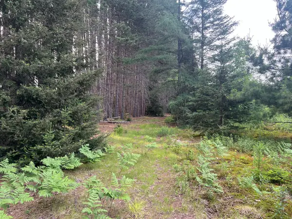 1152 FOREST LAKE RD, Joly, ON P0A 1Z0