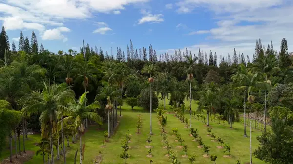 29-3707 KANNA ROAD, Hakalau, HI 96710